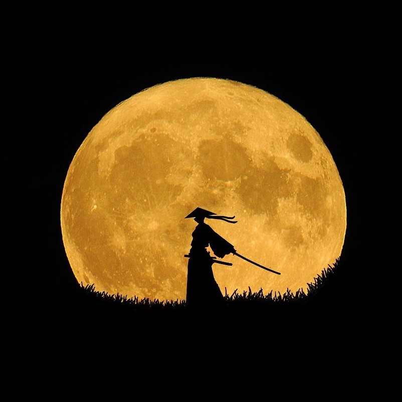 samurai_s https://www.hladinaalfa.cz/wp-content/uploads/2019/11/samurai_s.jpg