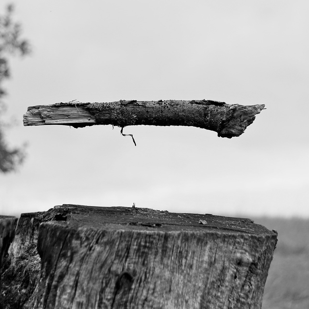 stick_s https://www.hladinaalfa.cz/wp-content/uploads/2019/11/stick_s.jpg