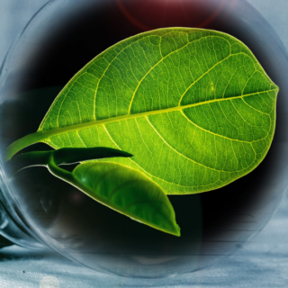 Energie_s https://www.hladinaalfa.cz/wp-content/uploads/2020/04/Energie_s-320x320.png